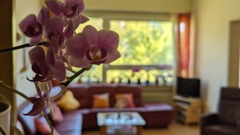 Palliativstation Klinikum Freising Wohnzimmer